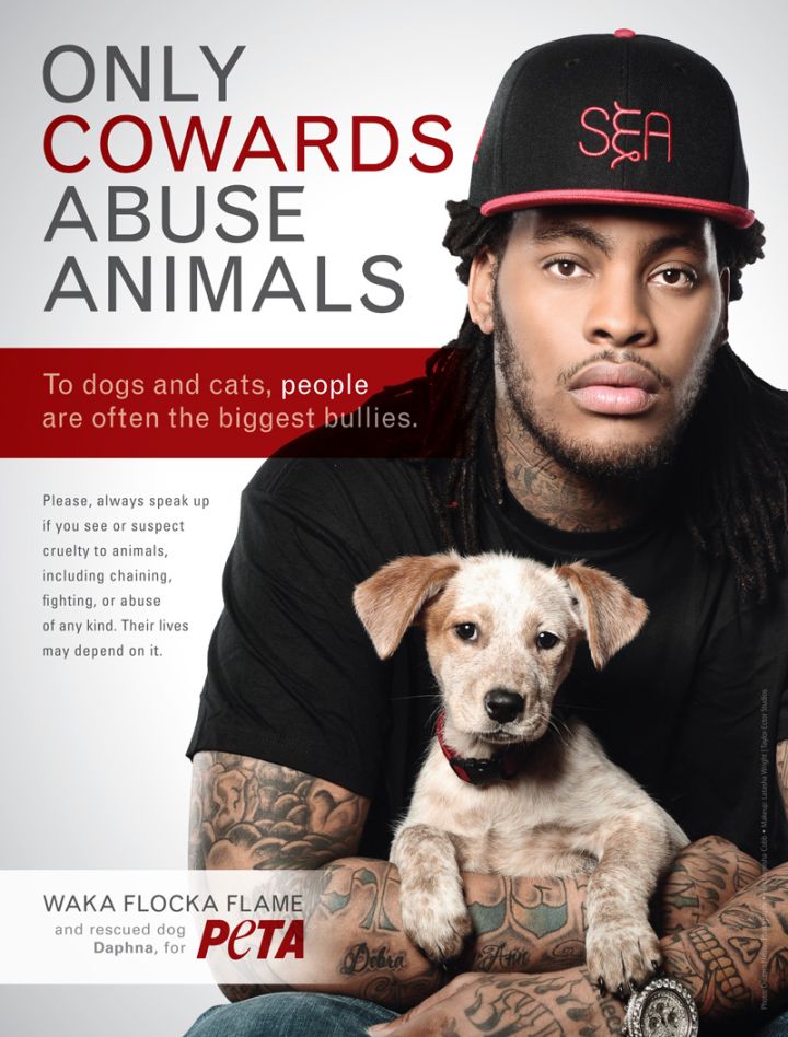 And he loves the pups!