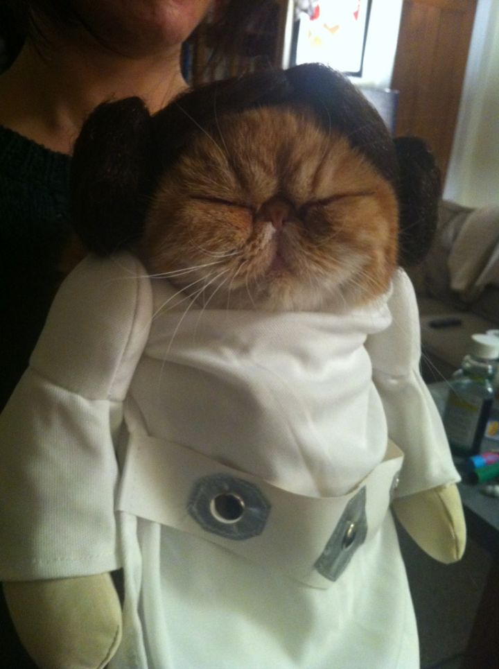Princess Leia.