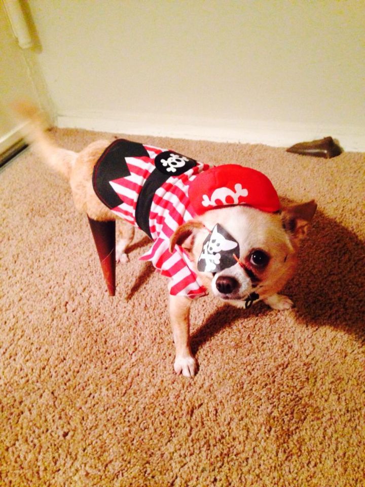 Another pirate.