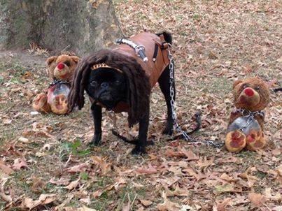 Michonne and her zombies.