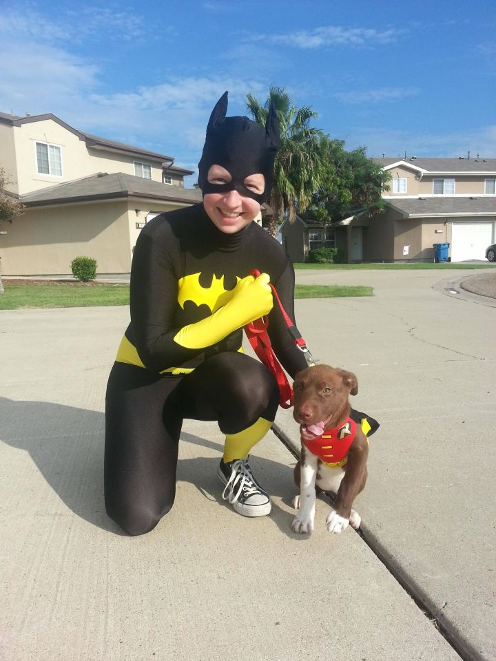 Batman and Robin.