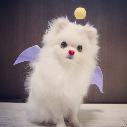 What an angel.