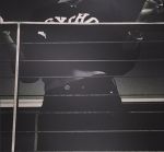 Oddly, He Instagrams A Photo Of One Of The Twins Who Amber Found In His Bed.