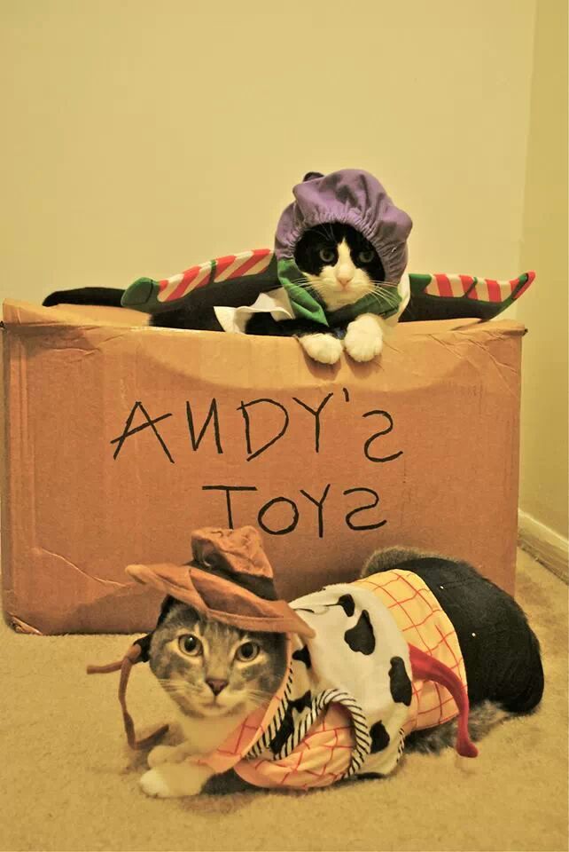 Toy Story.