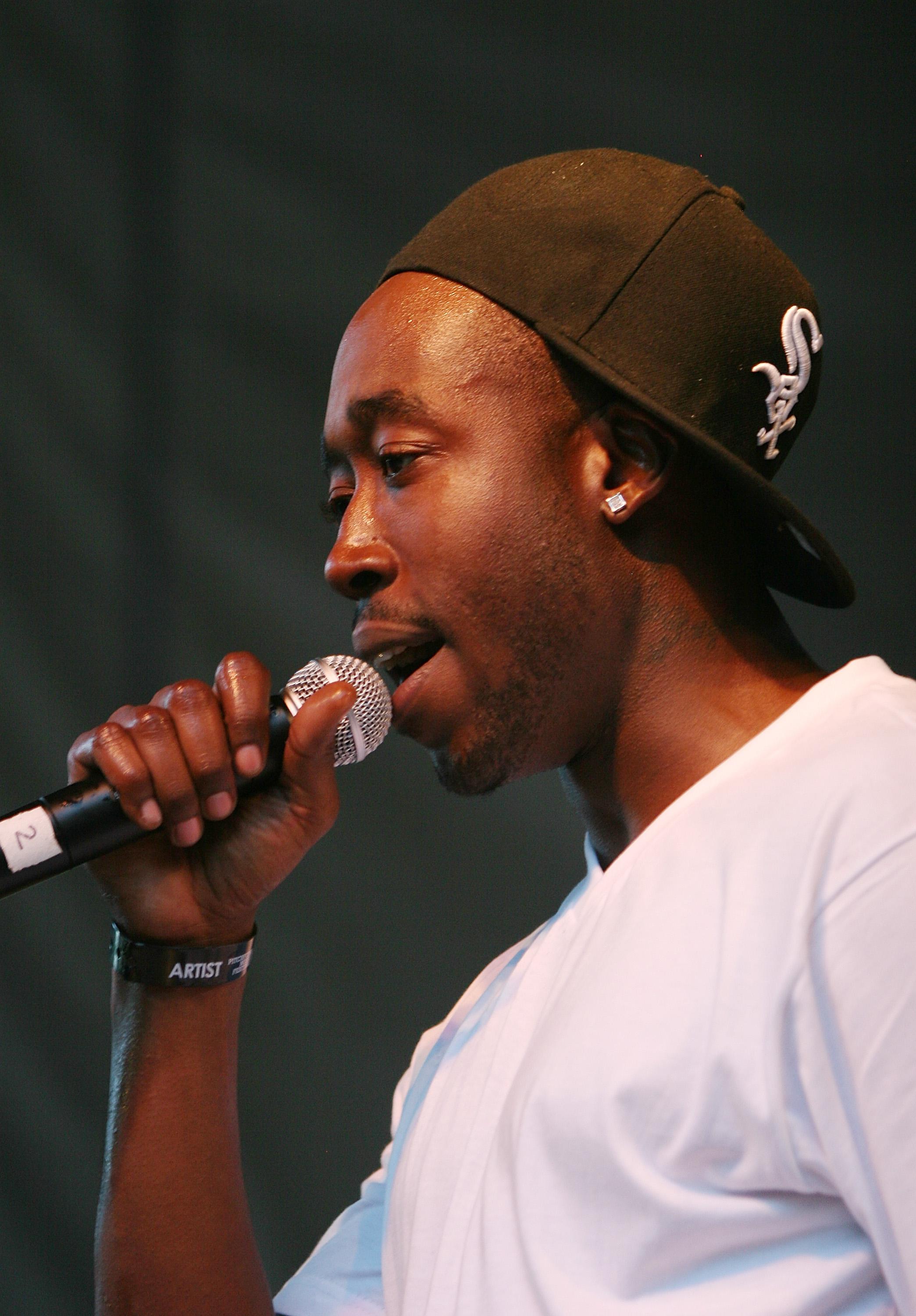 2010 Pitchfork Music Festival - Day 2