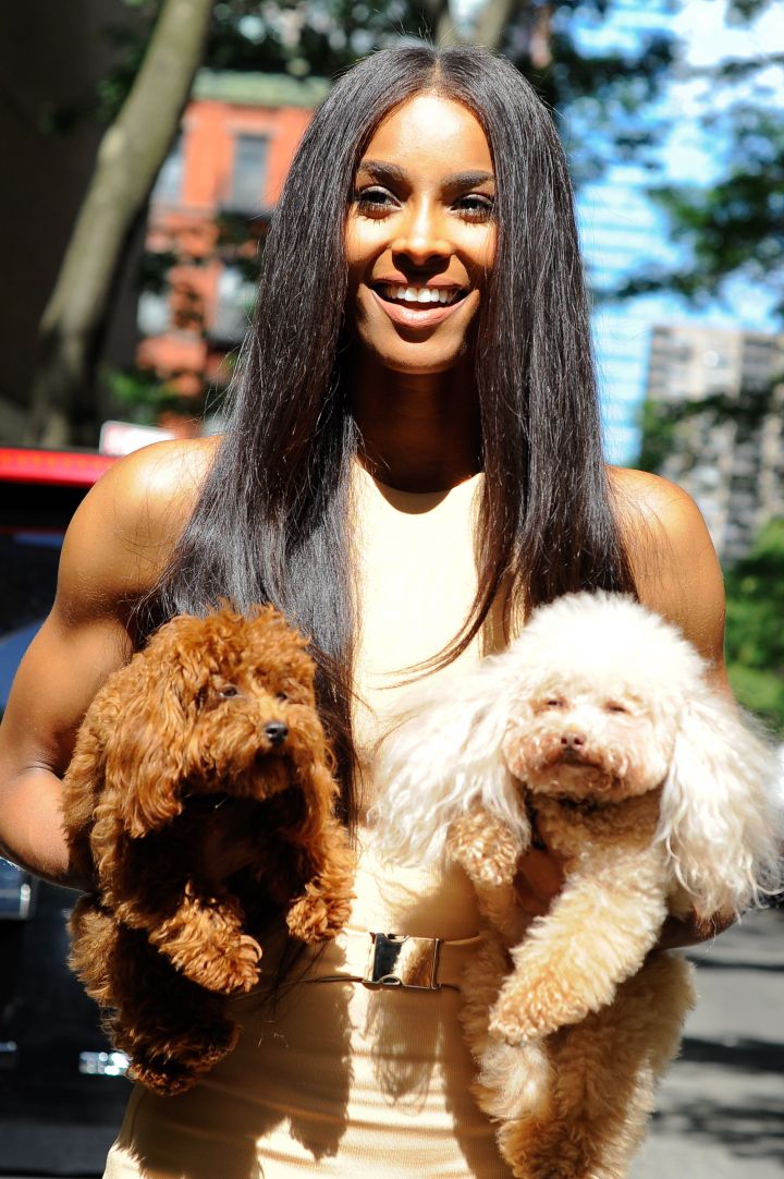 Ciara was on doggy duty as she hosted “Live with Kelly and Michael” this week. Look at those puppies.