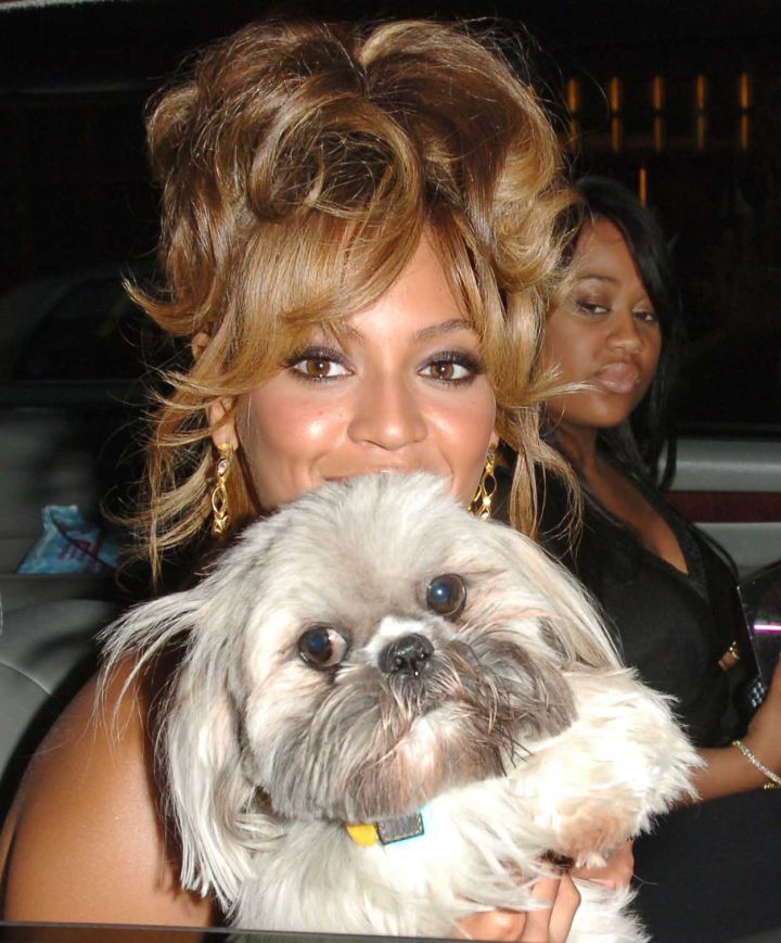 Beyonce