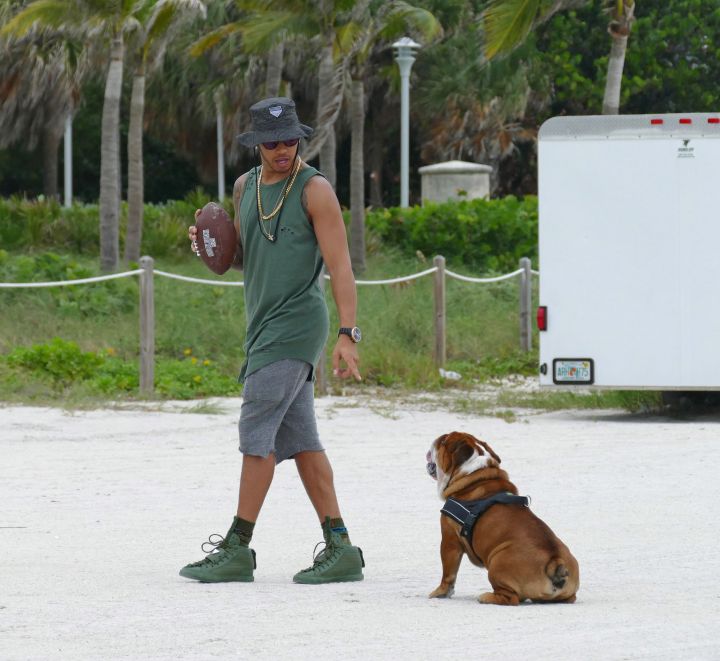 Ruff, Ruff, Hut.