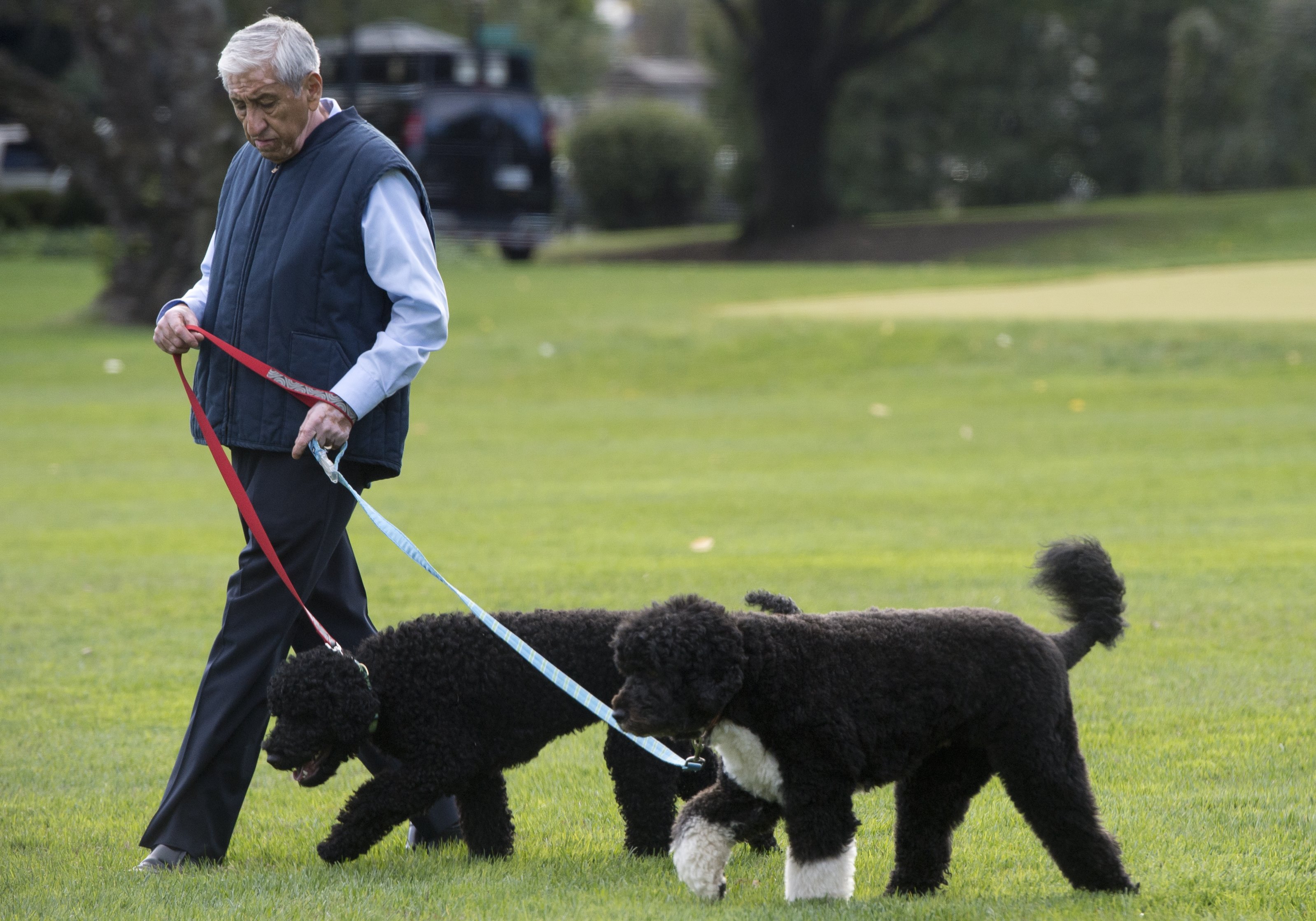 US-POLITICS-OBAMA-DOGS