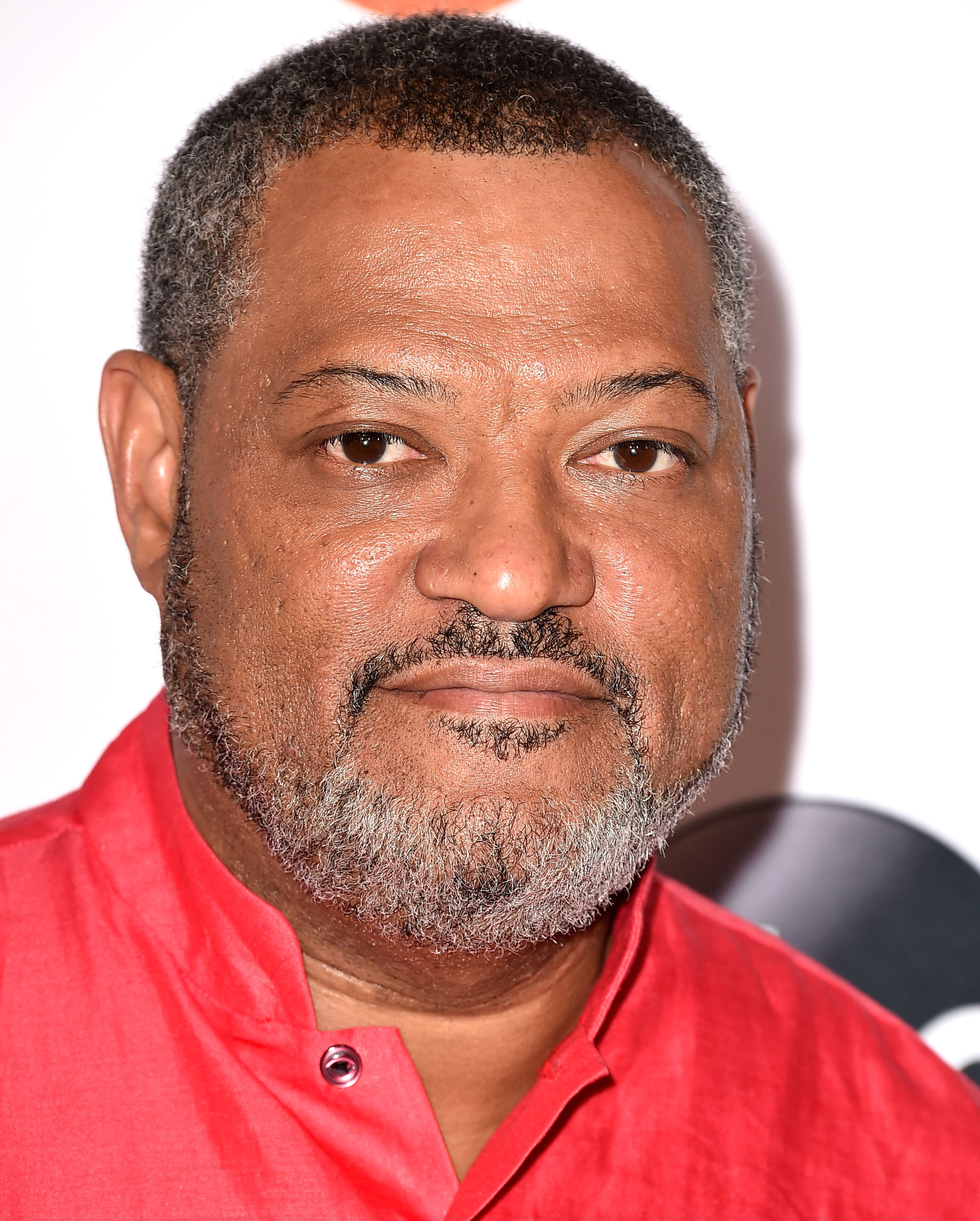 Disney ABC Television Group's 2015 TCA Summer Press Tour - Arrivals