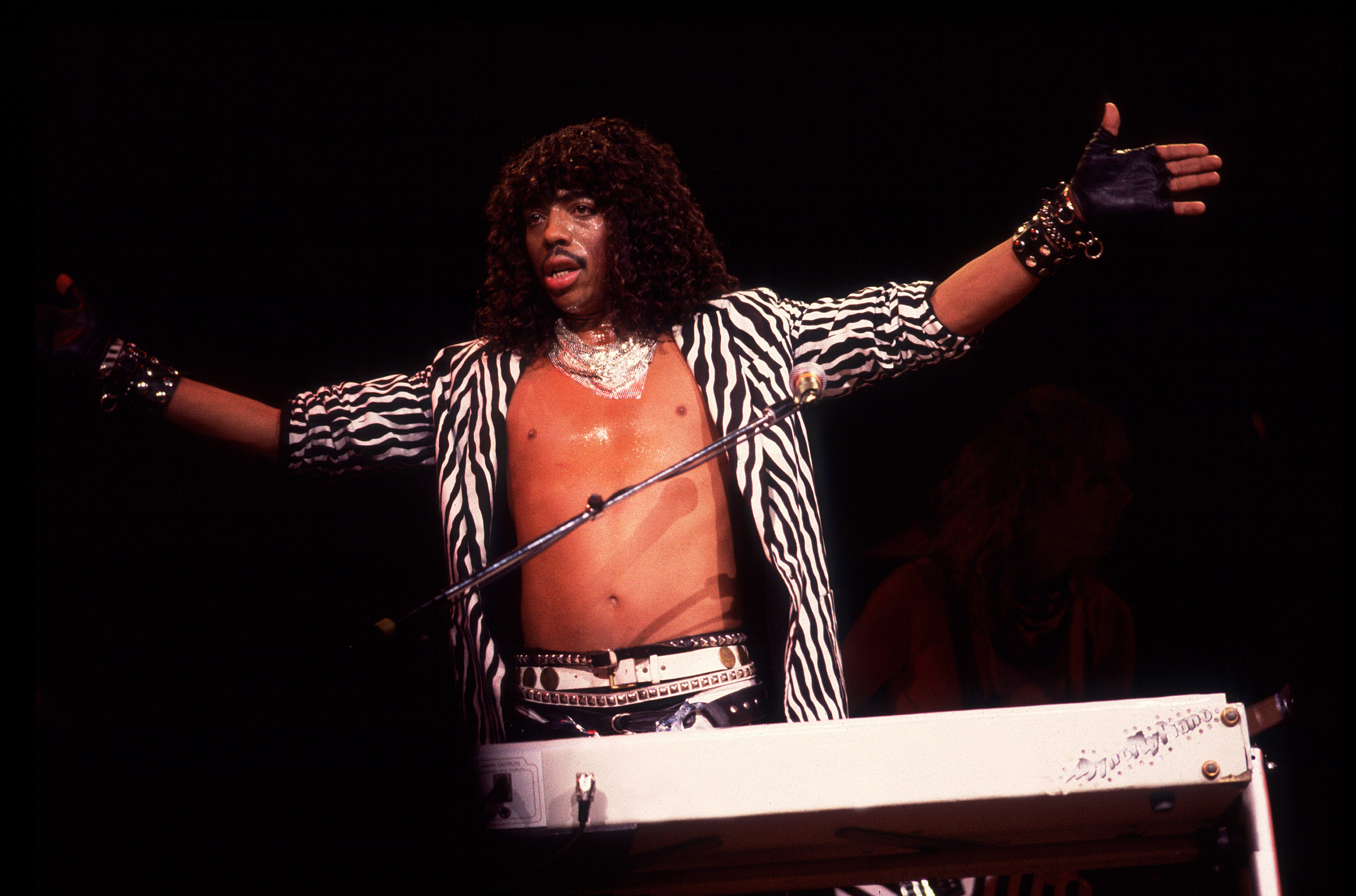 Rick James At The Holiday Star Theater