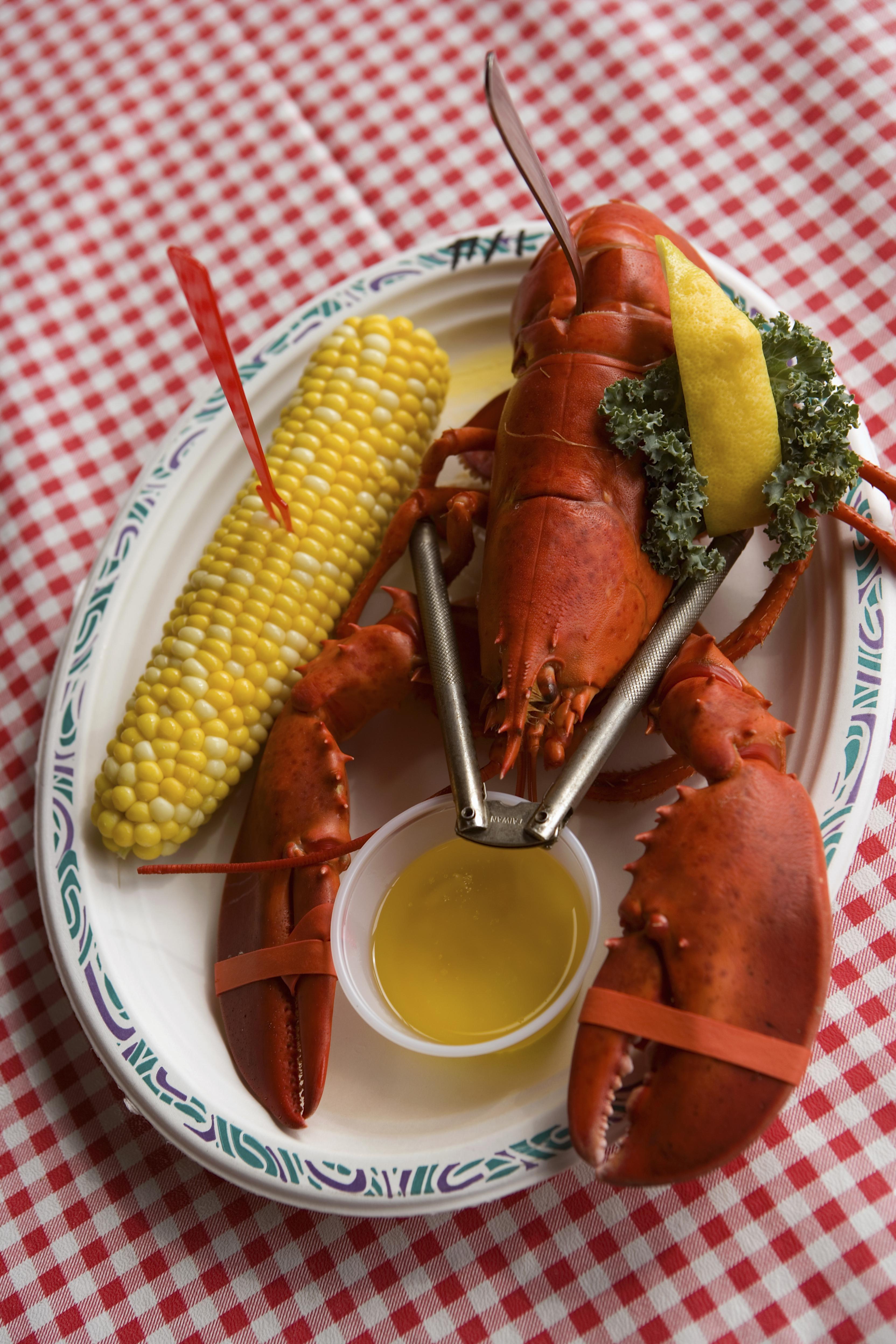 Lobster with corn and drawn butter, overhead view