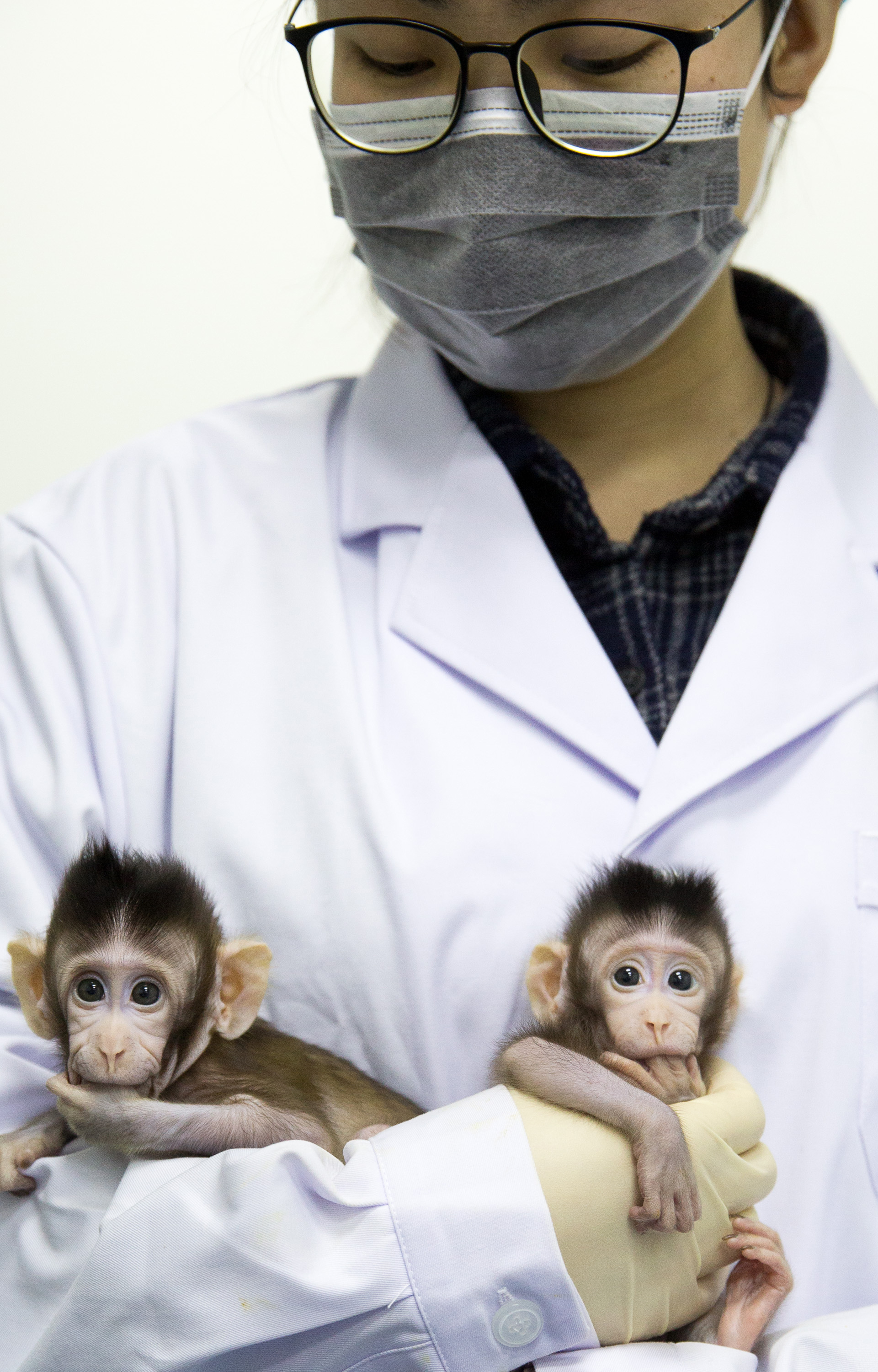 CHINA-BEIJING-CLONED MACAQUES-SUCCESS (CN)