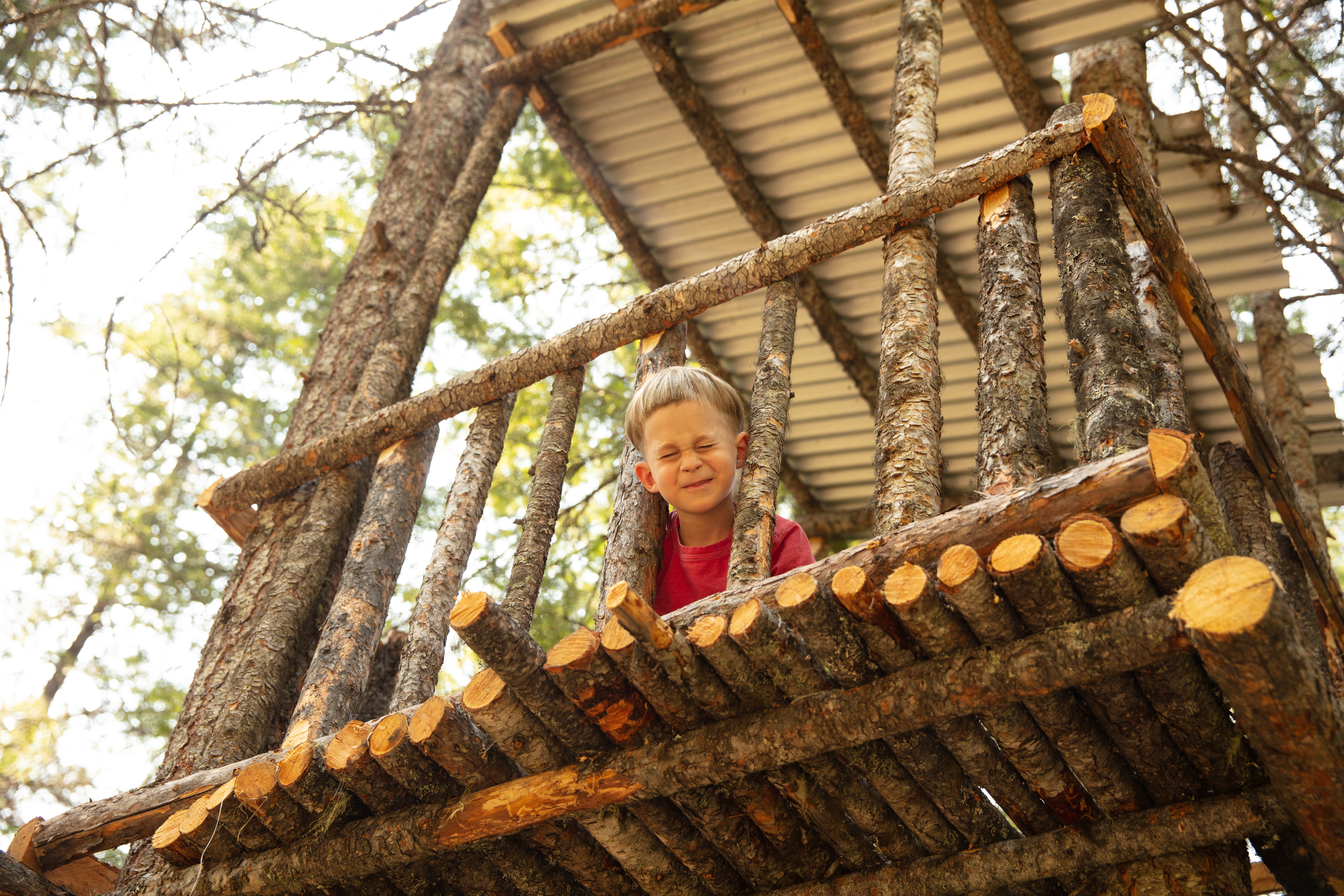 Tree house fun