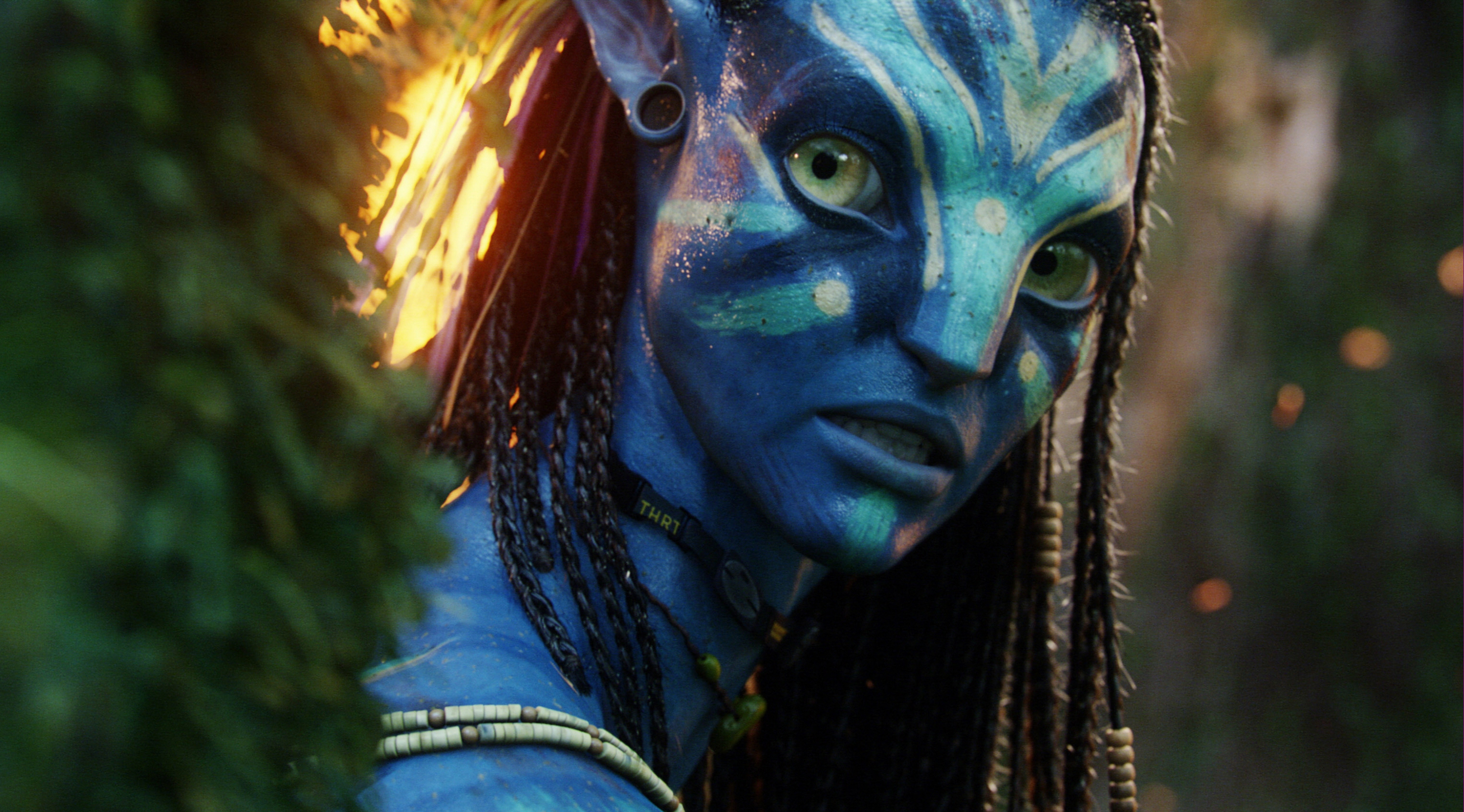 File Photos: Director James Cameron Confirms More Avatar Films