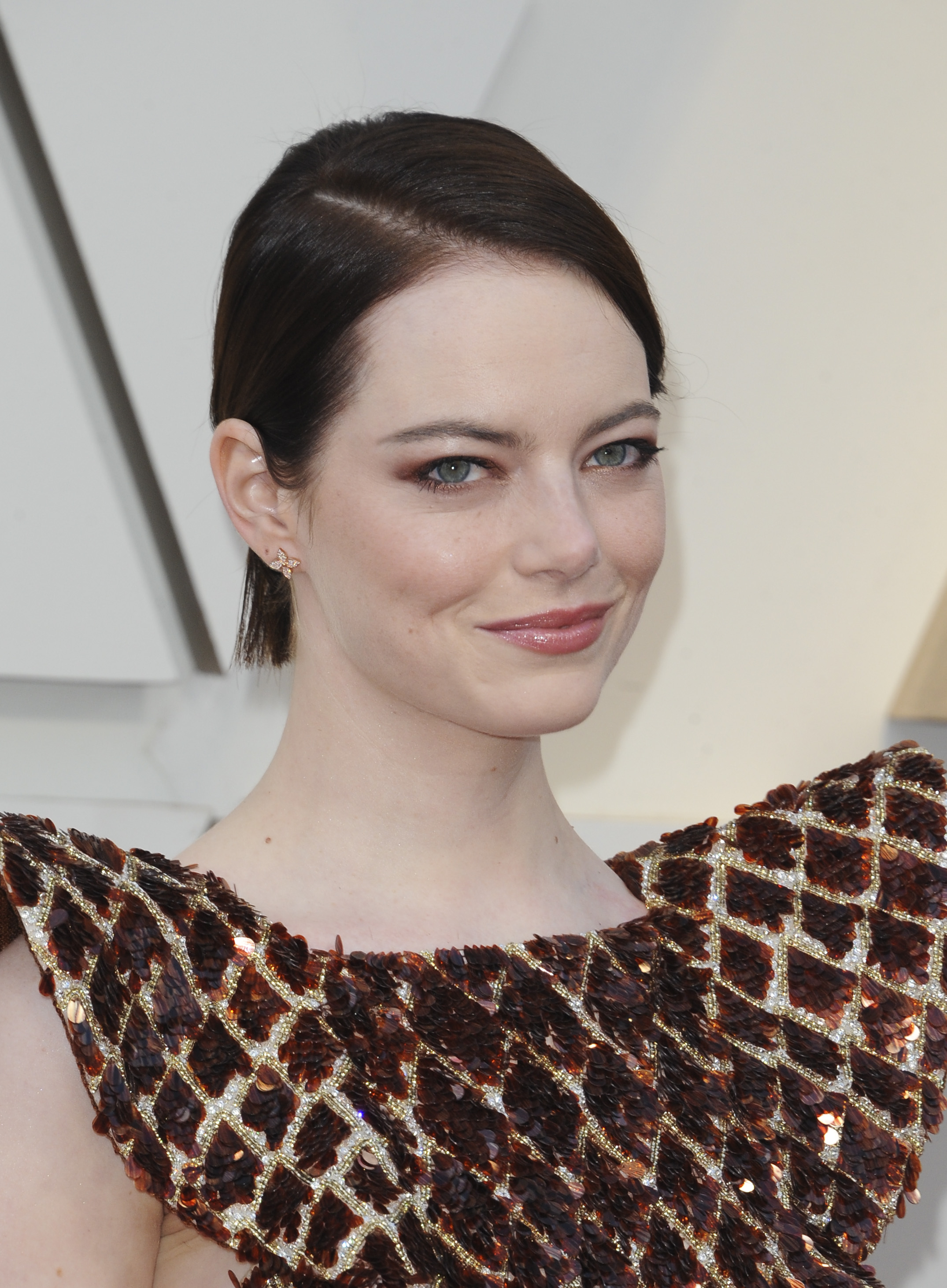 91st Academy Awards (Oscars 2019)