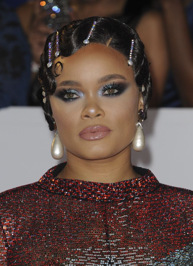 The 49th NAACP Image Awards arrivals