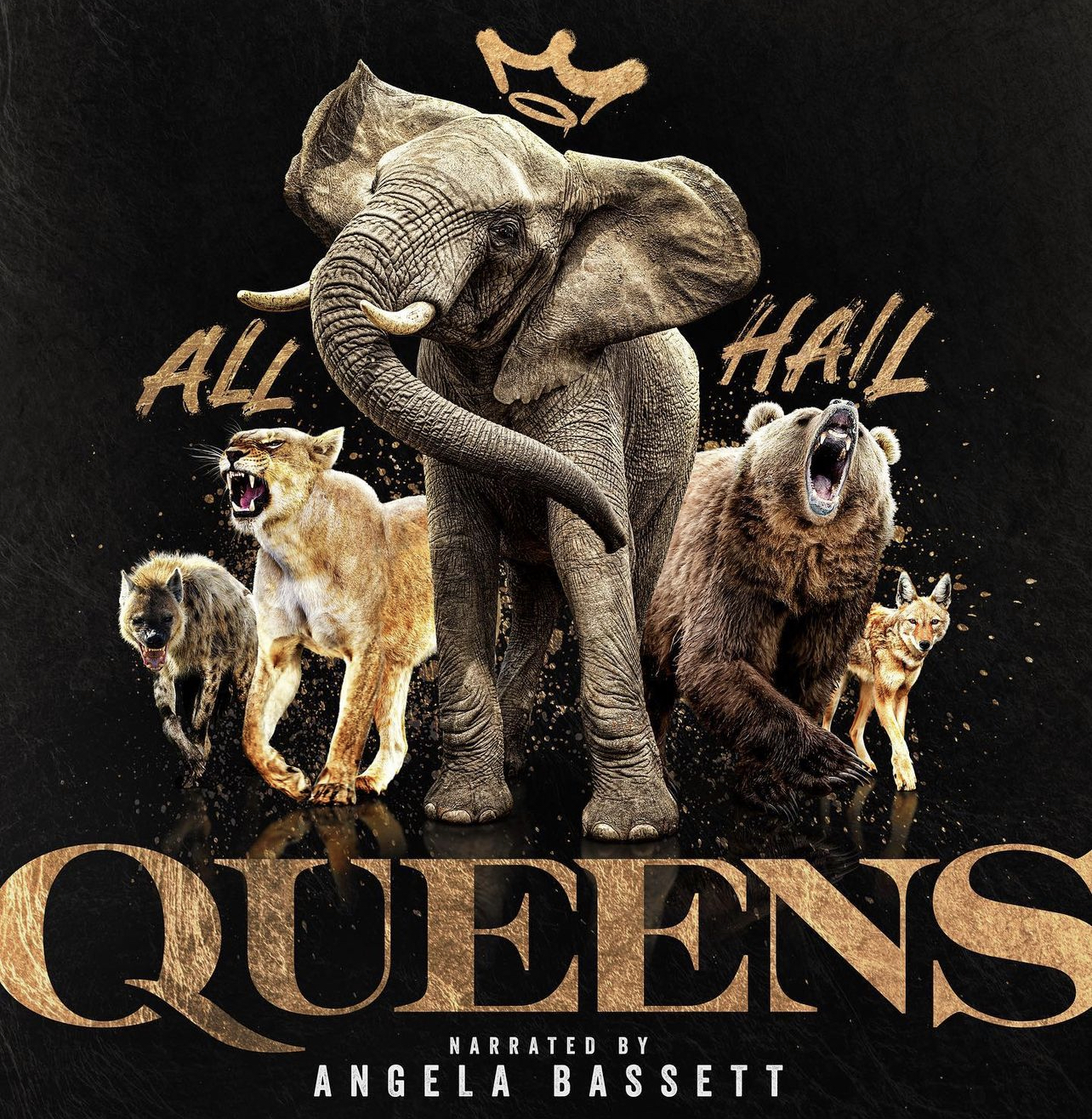 QUEENS asset