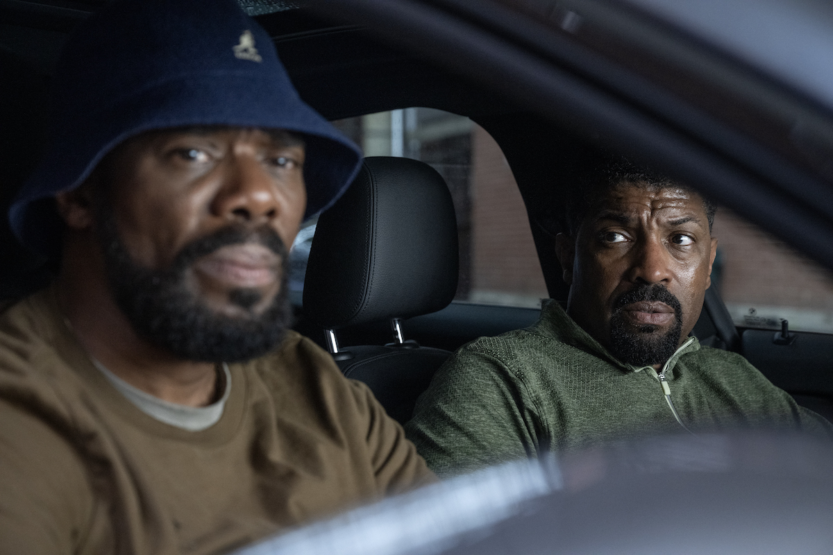 The Madness Newest Assets